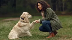 Může pes podle vědeckých studií poznat, jestli je člověk dobrý nebo zlý?