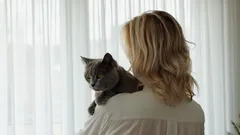 5 největších mýtů o kočkách, kterým stále věříme